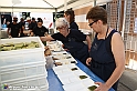 VBS_2836 - A spasso per Tigliole 2026 - Decima edizione